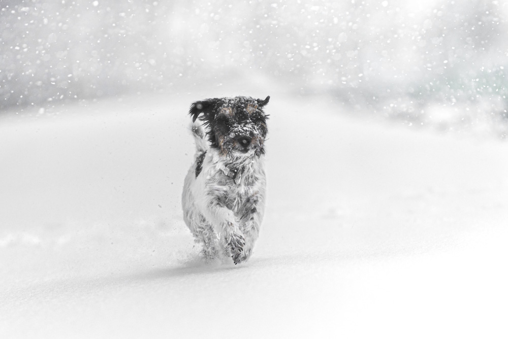 Platz 6 Karoline Thalhofer